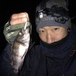 ナイトゲーム☆メバリング釣行♪