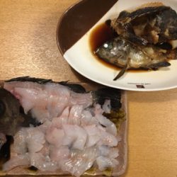 爆釣メバリング！