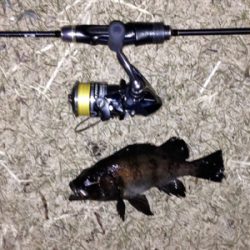 アクアパッツァを求めて