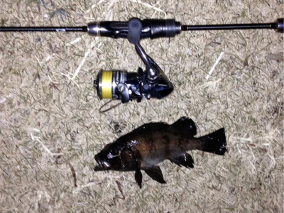 アクアパッツァを求めて