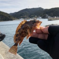 冬のライトゲーム@御坊