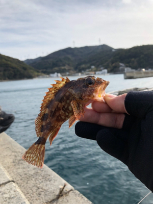 冬のライトゲーム@御坊