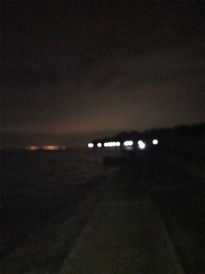 2018年、初魚確保！