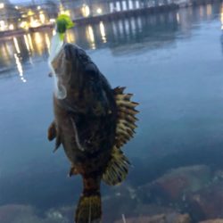 ディメバリング