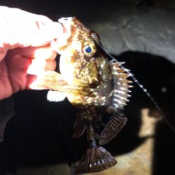 極寒のガシリング