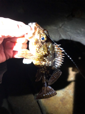 極寒のガシリング