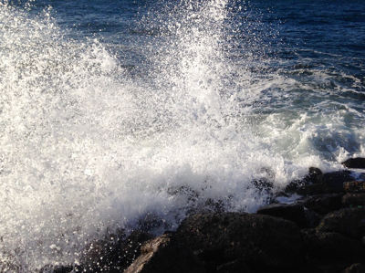 哀しみのシーバス