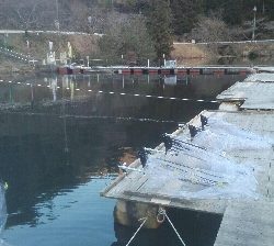 佐中ダム　ワカサギ釣り