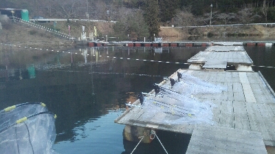 佐中ダム　ワカサギ釣り