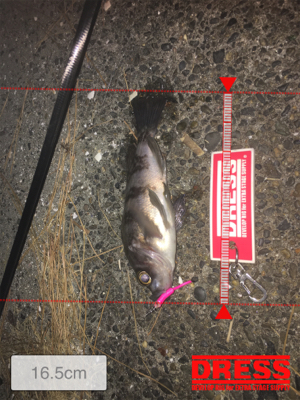 寒い中ランガン