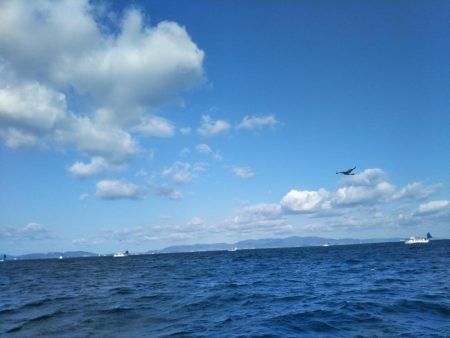 激風激波のち大物