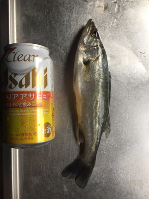 魚のアタリが欲しくて！