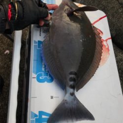 沖の島 磯釣り 撃沈。