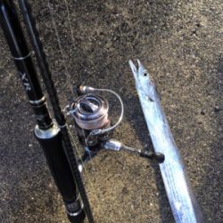 なんとかゲットしたけど。