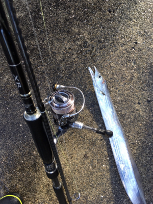 なんとかゲットしたけど。