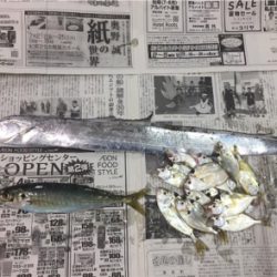 今日は文里港で！