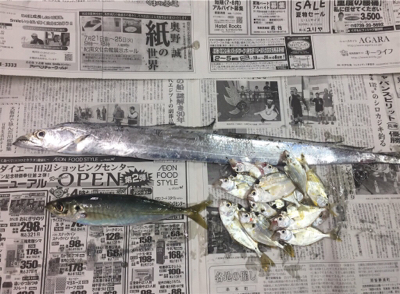 今日は文里港で！