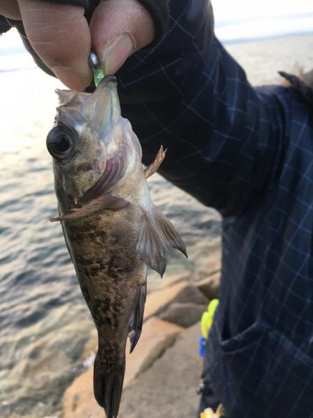 型が小さい！！