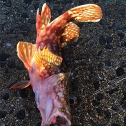 長崎市南部方面