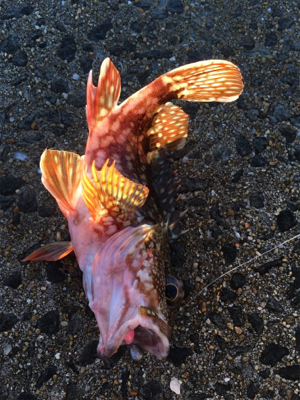 長崎市南部方面