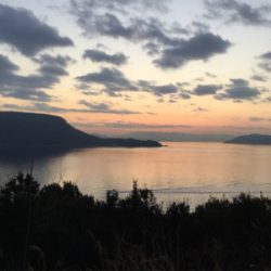 シャローフロートゲーム