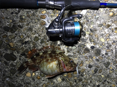 ナイトメバリングゲーム☆