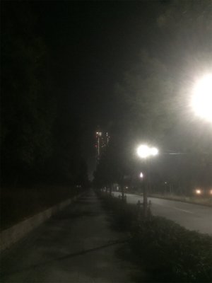 チャリンコランガン