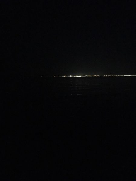 ガシラ１匹だけ