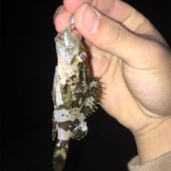 夜中に奈良から淡路へ