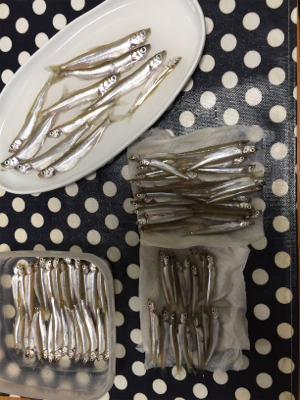 布目ダム ワカサギ