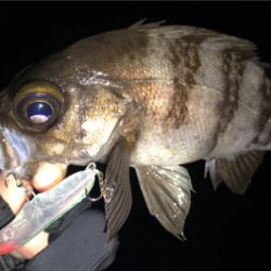 ガッツリのウェーディングのはずが…