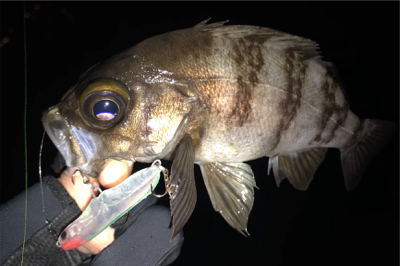 ガッツリのウェーディングのはずが...