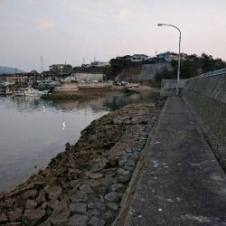 丸石港でメバリング−日の出前に時合