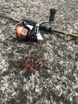 子ガッシー祭り