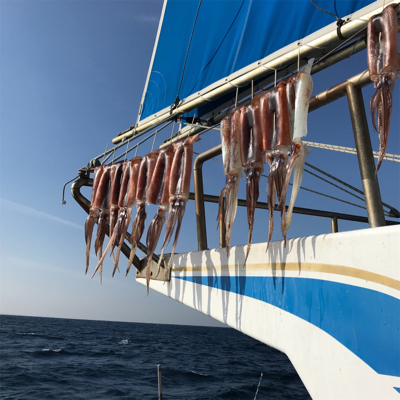 横須賀長井の光三丸さんでスルメイカ