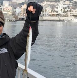 ルアーでカマス