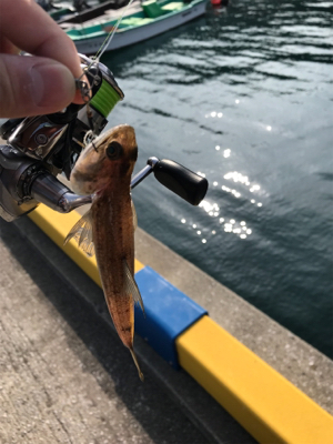 初チタンティップ(釣行 其の七)