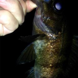 休憩メバリング