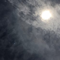 ジグしゃくったら