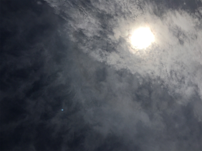 ジグしゃくったら