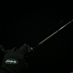 雑賀崎 アジング