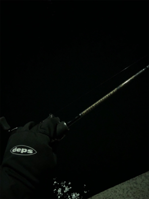 雑賀崎 アジング