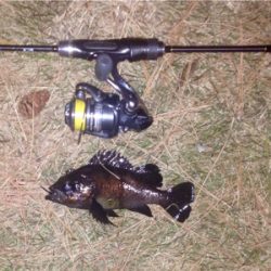 休憩メバリング