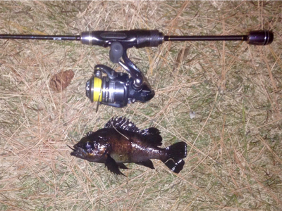 休憩メバリング