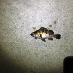 シンプルに寒い