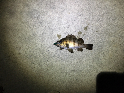 シンプルに寒い