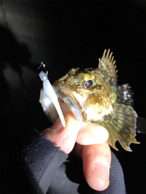 大潮満月ド干潮