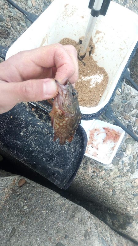 高砂 紀州釣り 穴釣り