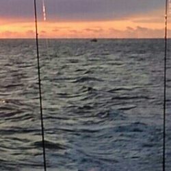 鳥羽ジギング！