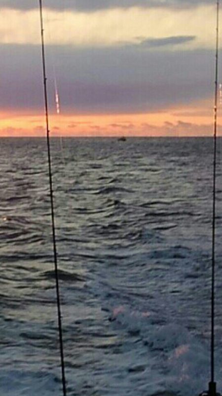 鳥羽ジギング！